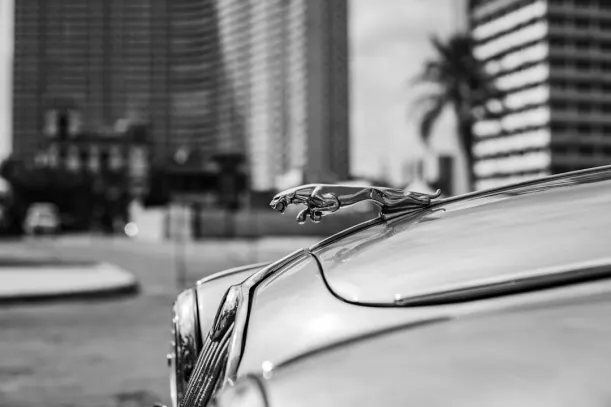 20 بيتس كازينو تطبيق أندرويد/آي أو إس